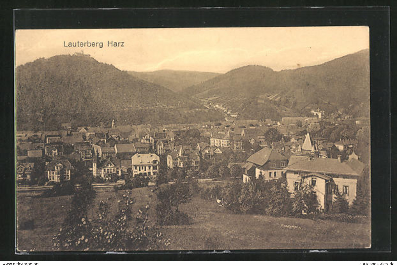 AK Bad Lauterberg / Harz, Ortspanorama - Bad Lauterberg