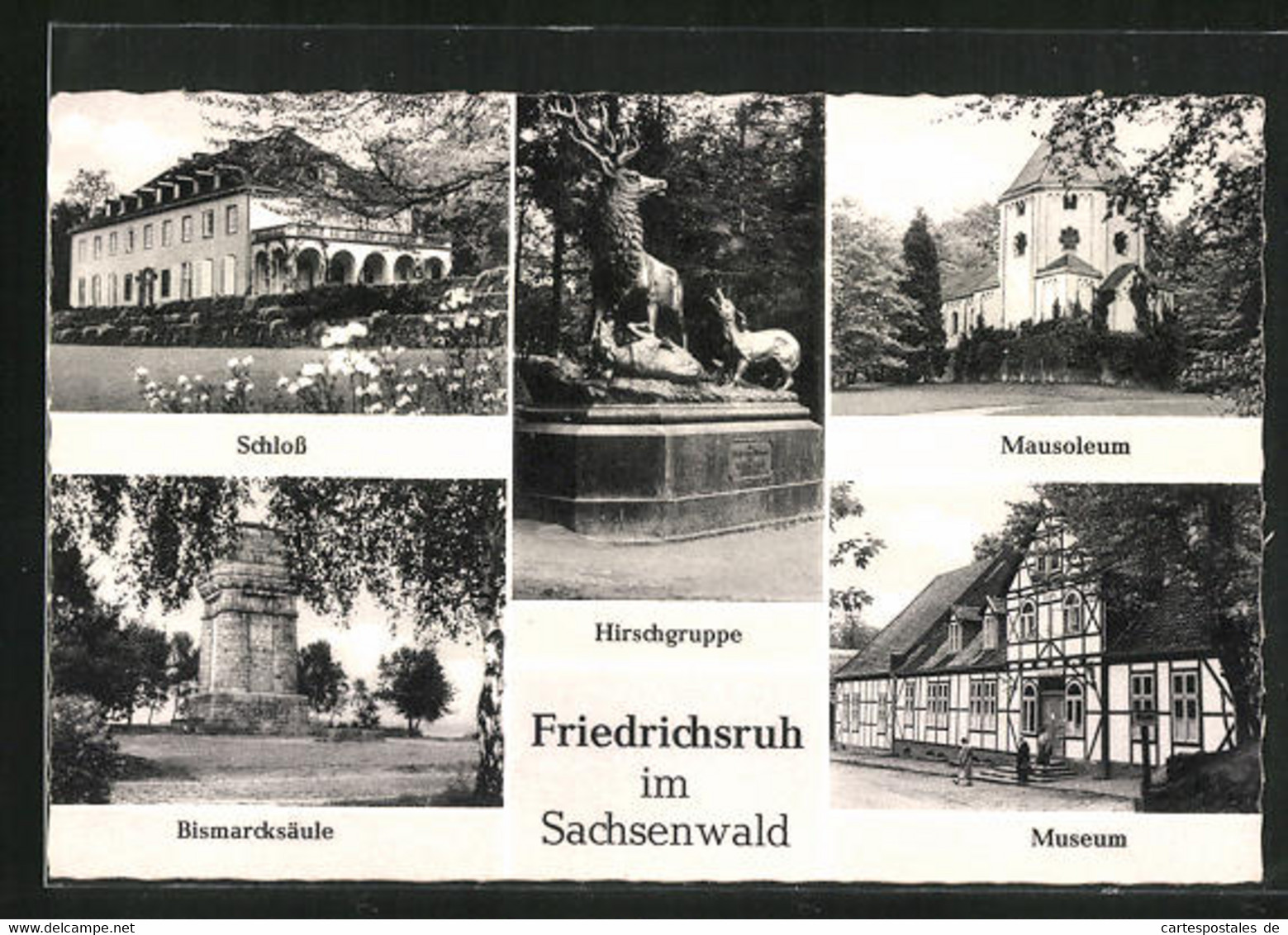 AK Friedrichsruh Im Sachsenwald, Museum, Mausoleum, Bismarcksäule - Friedrichsruh
