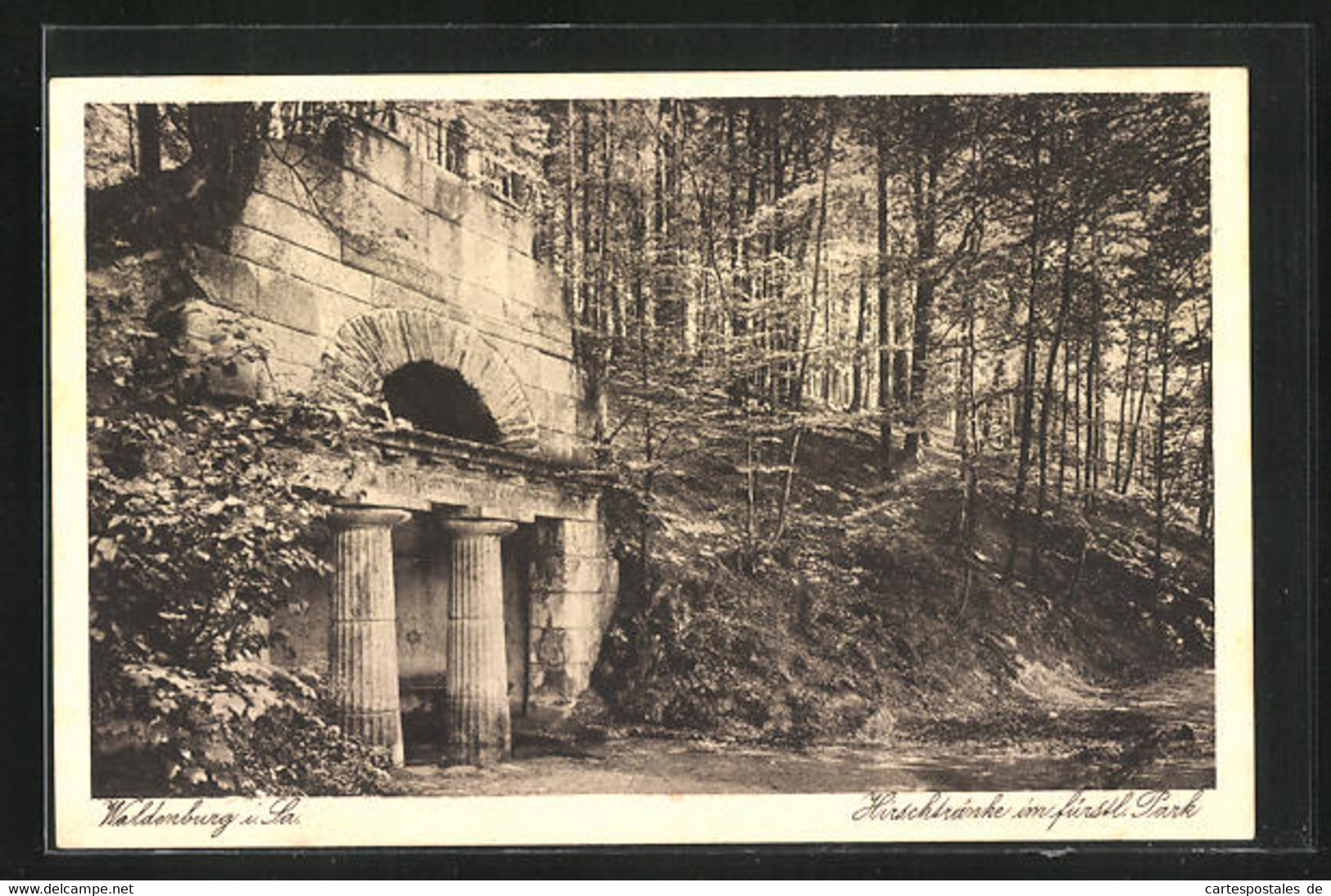 AK Waldenburg I. Sa., Hirschtränke Im Fürstl. Park - Waldenburg (Sachsen)