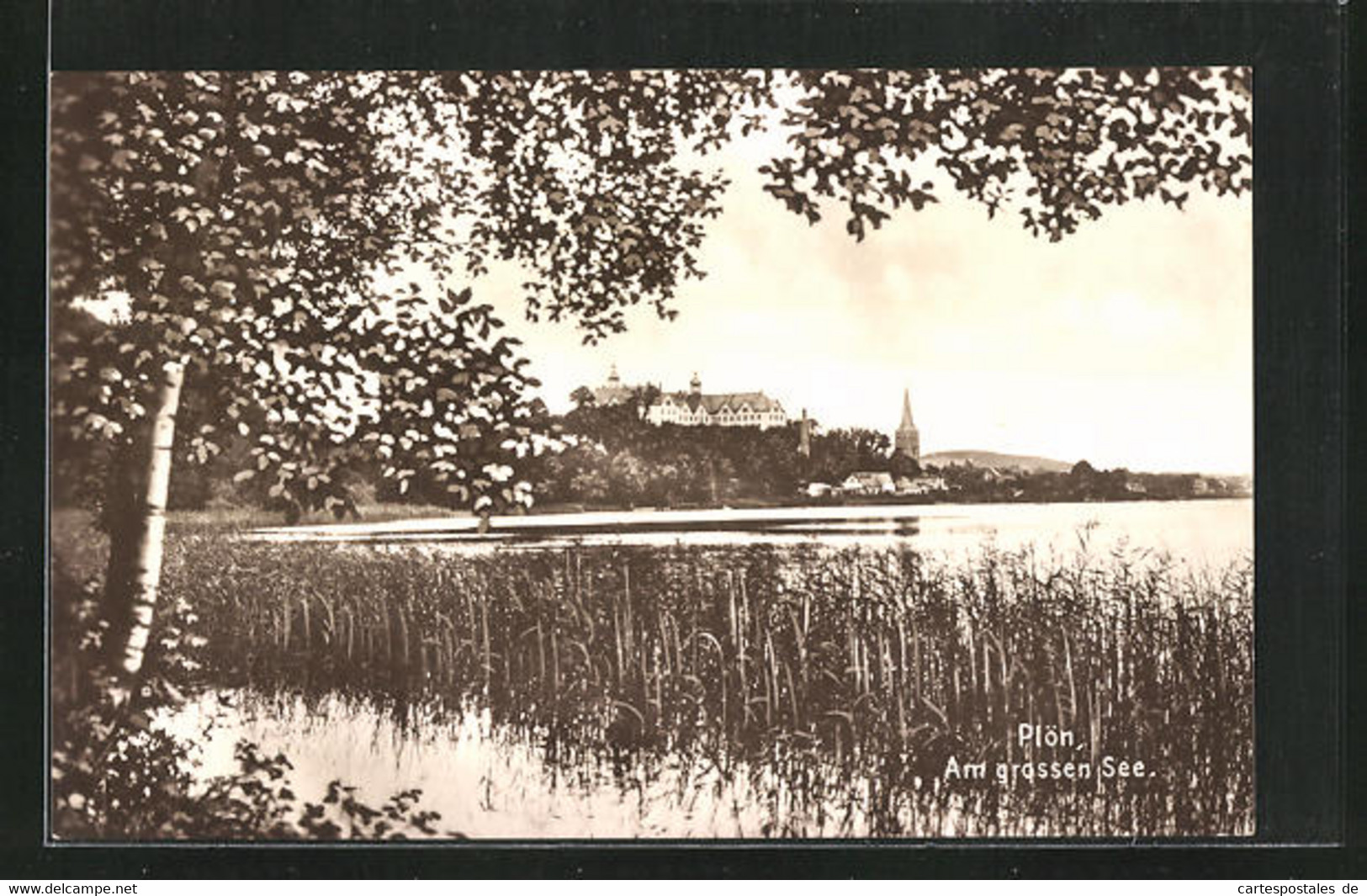 AK Plön I. H., Idylle Am Grossen See - Ploen