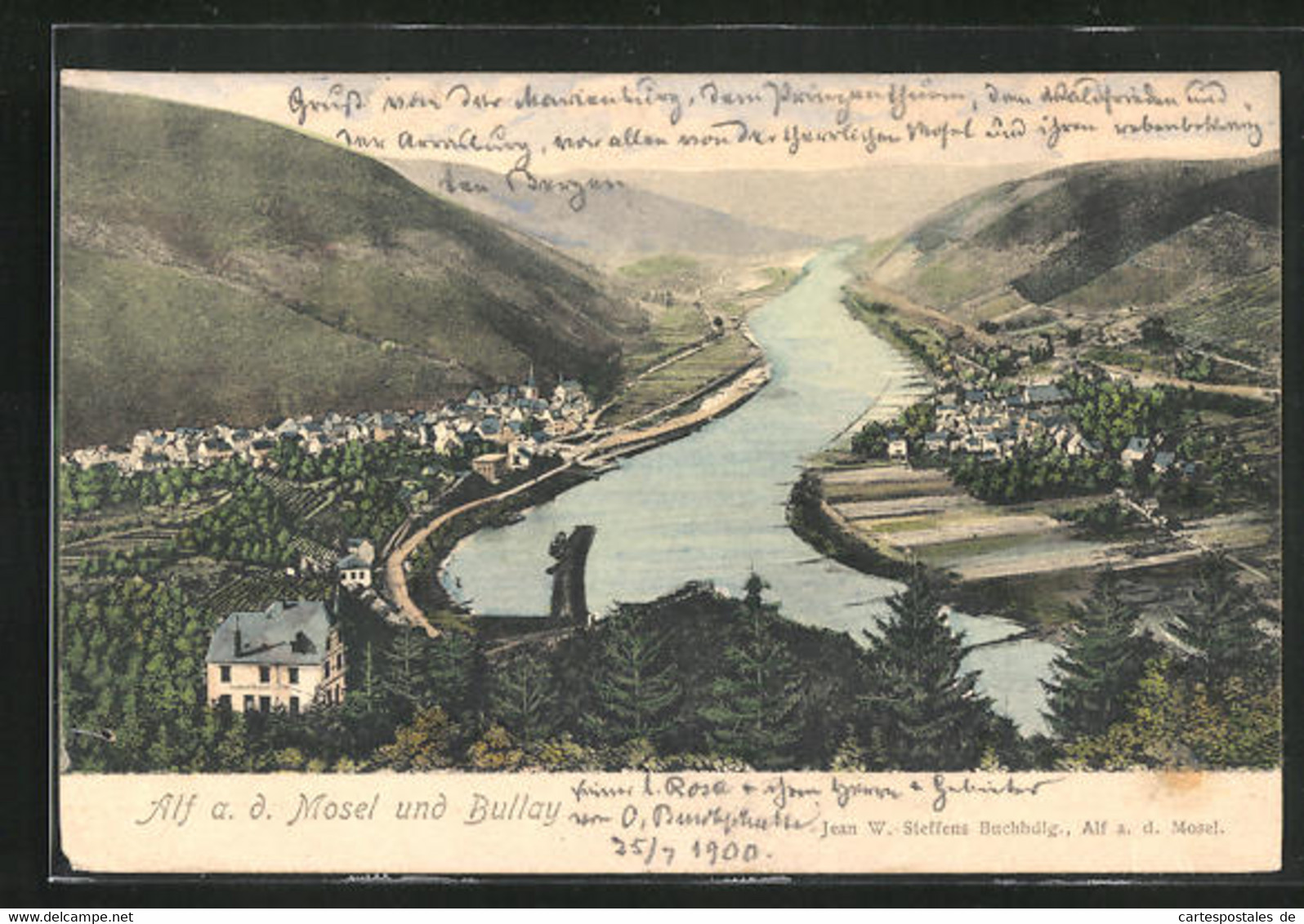 AK Alf A.d. Mosel, Panorama Mit Bullay - Alf-Bullay