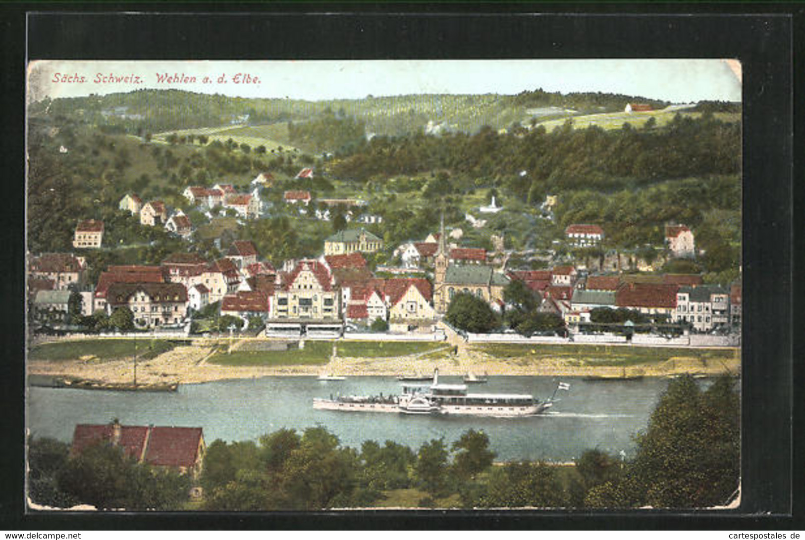 AK Wehlen / Elbe, Panorama Mit Dampfer - Wehlen