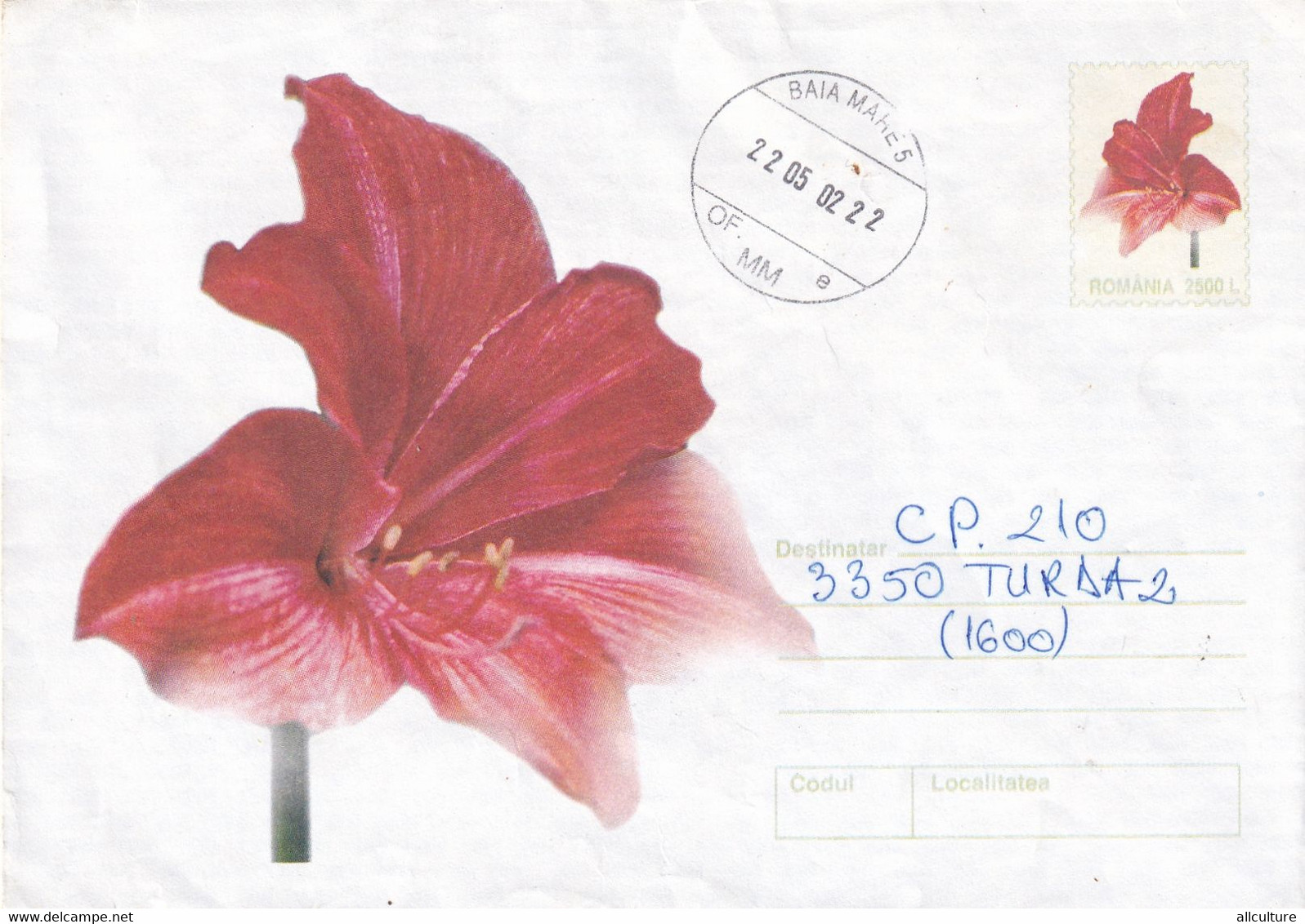 A9612- RED FLOWER, BAIA MARE 2002  SENT TO TURDA, ROMANIA COVER STATIONERY - Autres & Non Classés