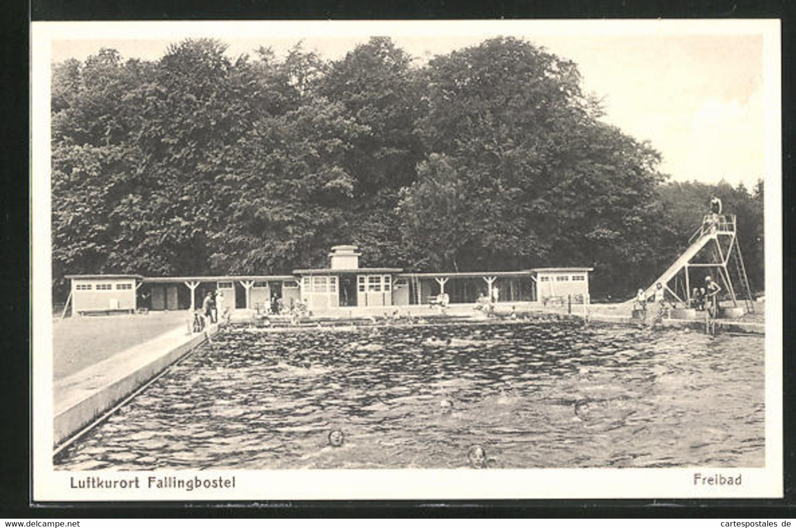 AK Fallingbostel, Freibad Mit Besuchern - Fallingbostel