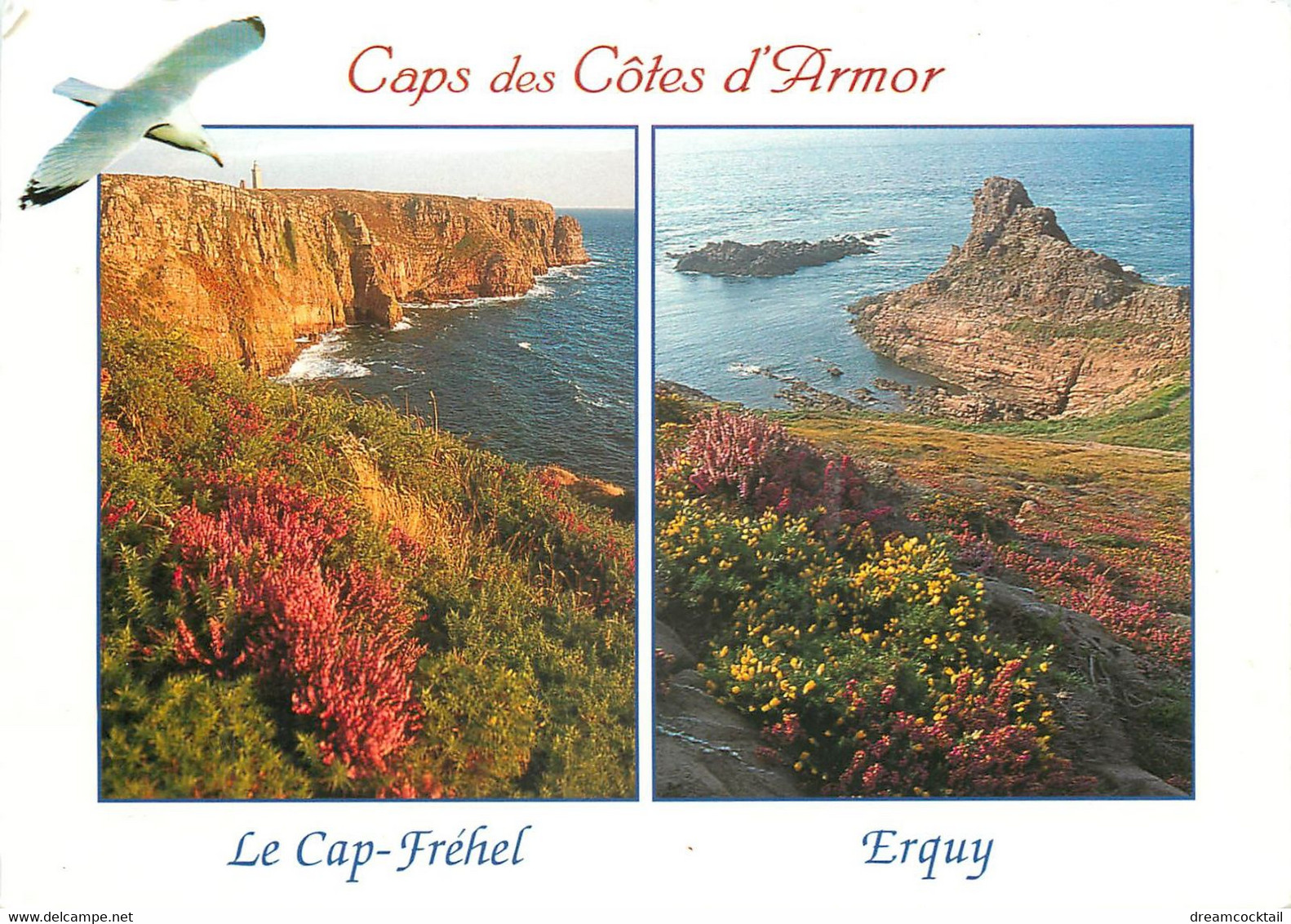 2 X Photo Cpsm 22 LE CAP FREHEL ERQUY 2000 - Cap Frehel