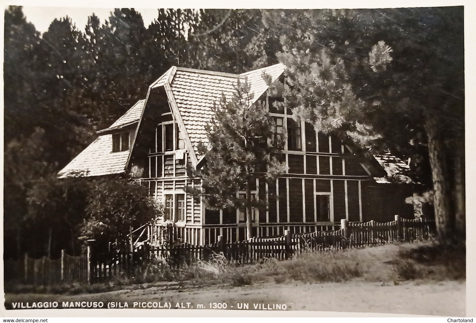 Cartolina - Villaggio Mancuso ( Sila Piccola - Catanzaro) - Un Villino - 1950 - Catanzaro