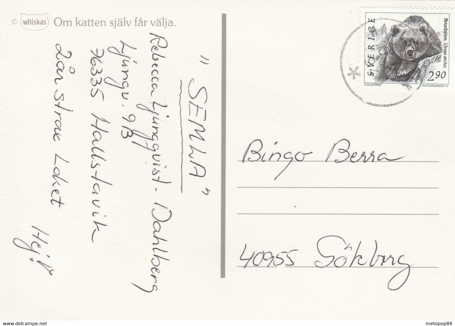 Sweden Postcard Bear - Briefe U. Dokumente