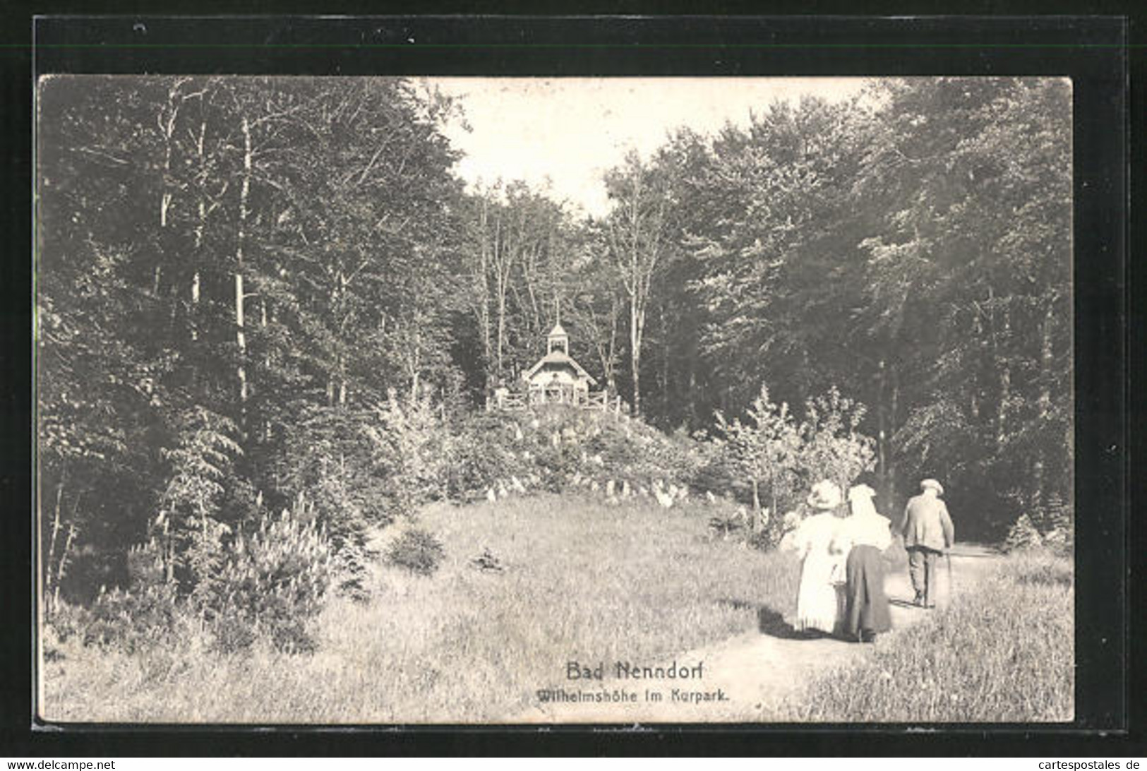 AK Bad Nenndorf, Wilhelmshöhe Im Kurpark Mit Spaziergängern - Bad Nenndorf