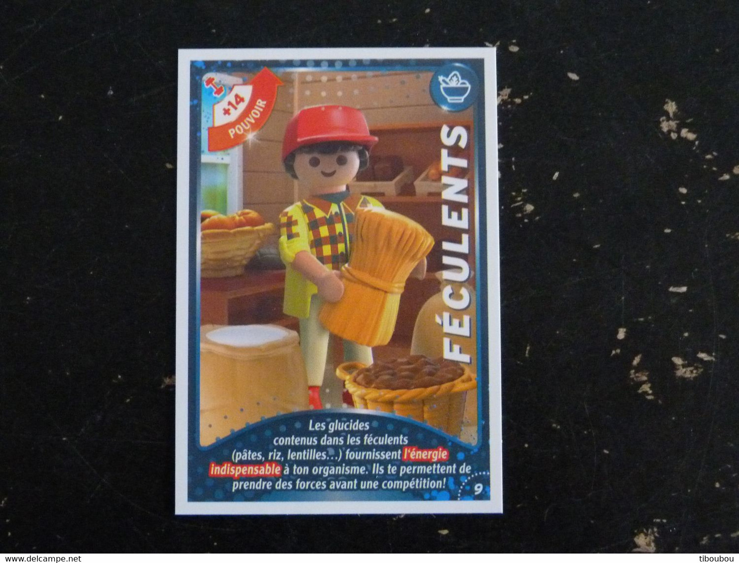 CARTE CARREFOUR PLAYMOBIL N° 09 - FECULENTS - Sonstige & Ohne Zuordnung