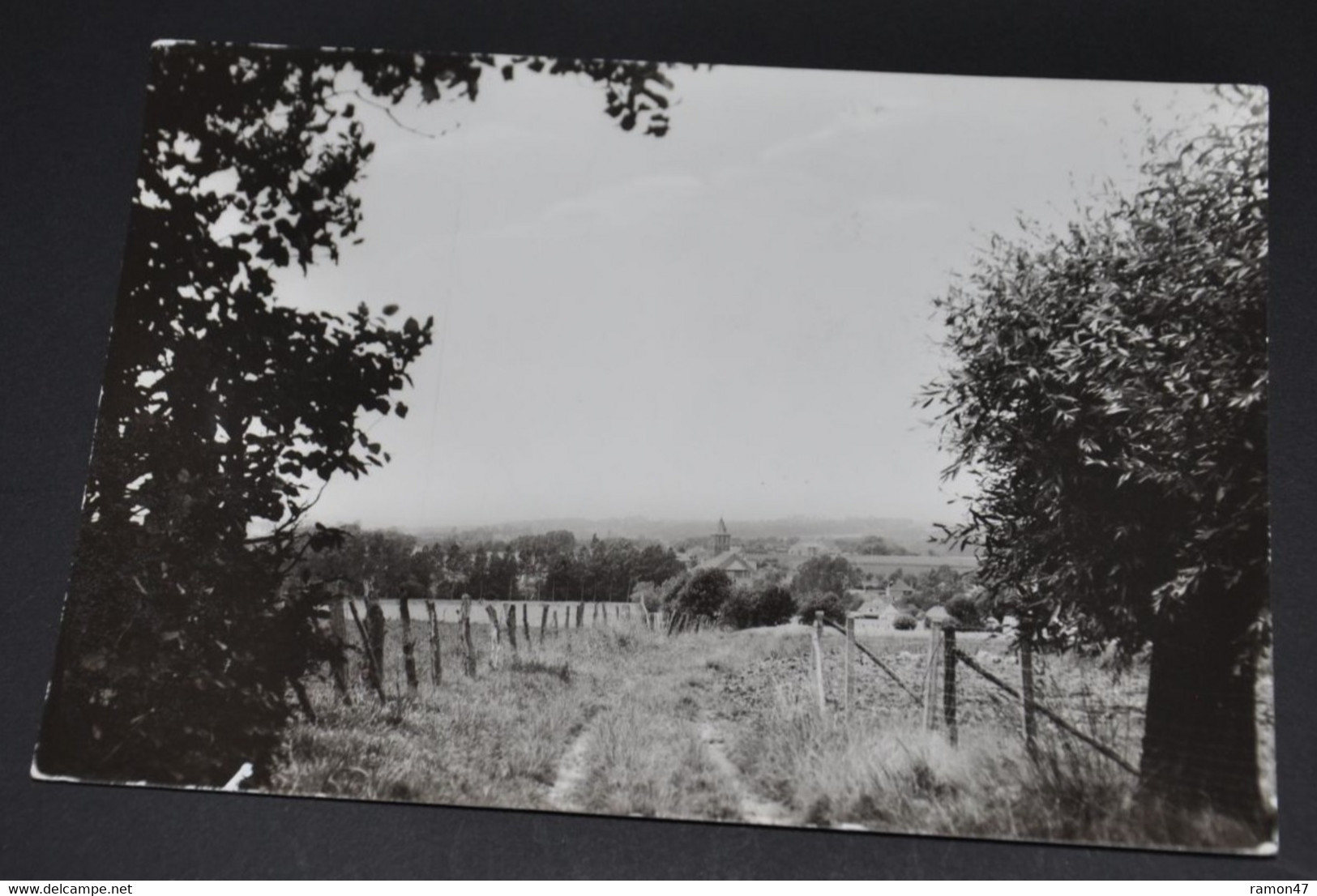 Schorisse - Panorama - Maarkedal