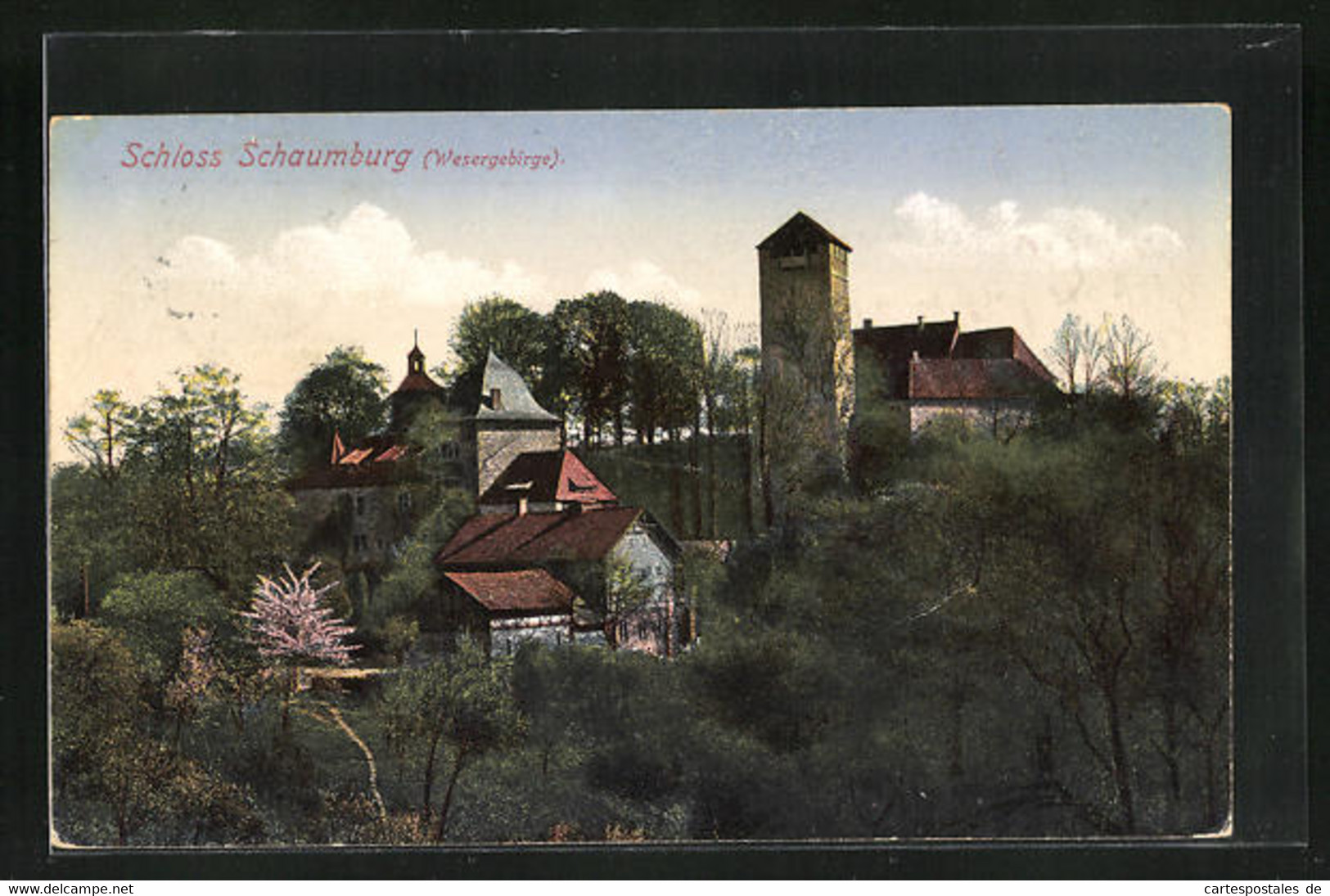 AK Rinteln, Blick Auf Das Schloss Schaumburg Im Wesergebirge - Schaumburg