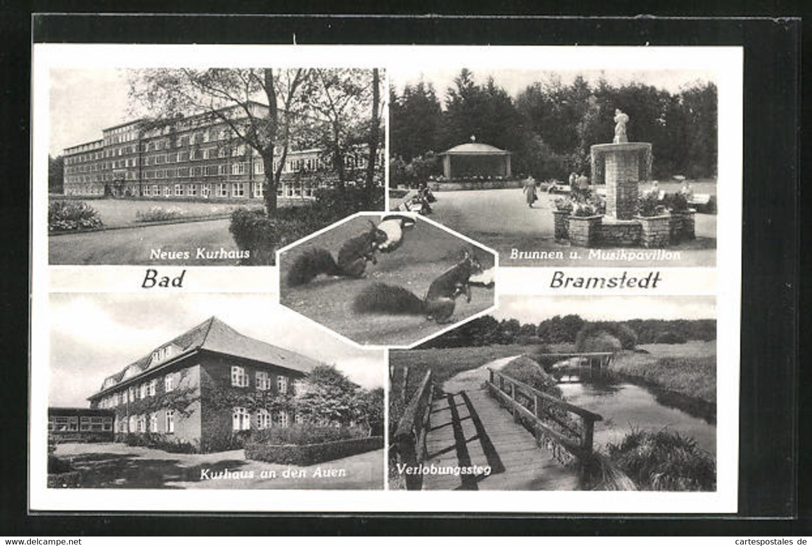 AK Bad Bramstedt, Kurhäuser, Brunnen U. Musikpavillon, Eichhörnchen - Bad Bramstedt