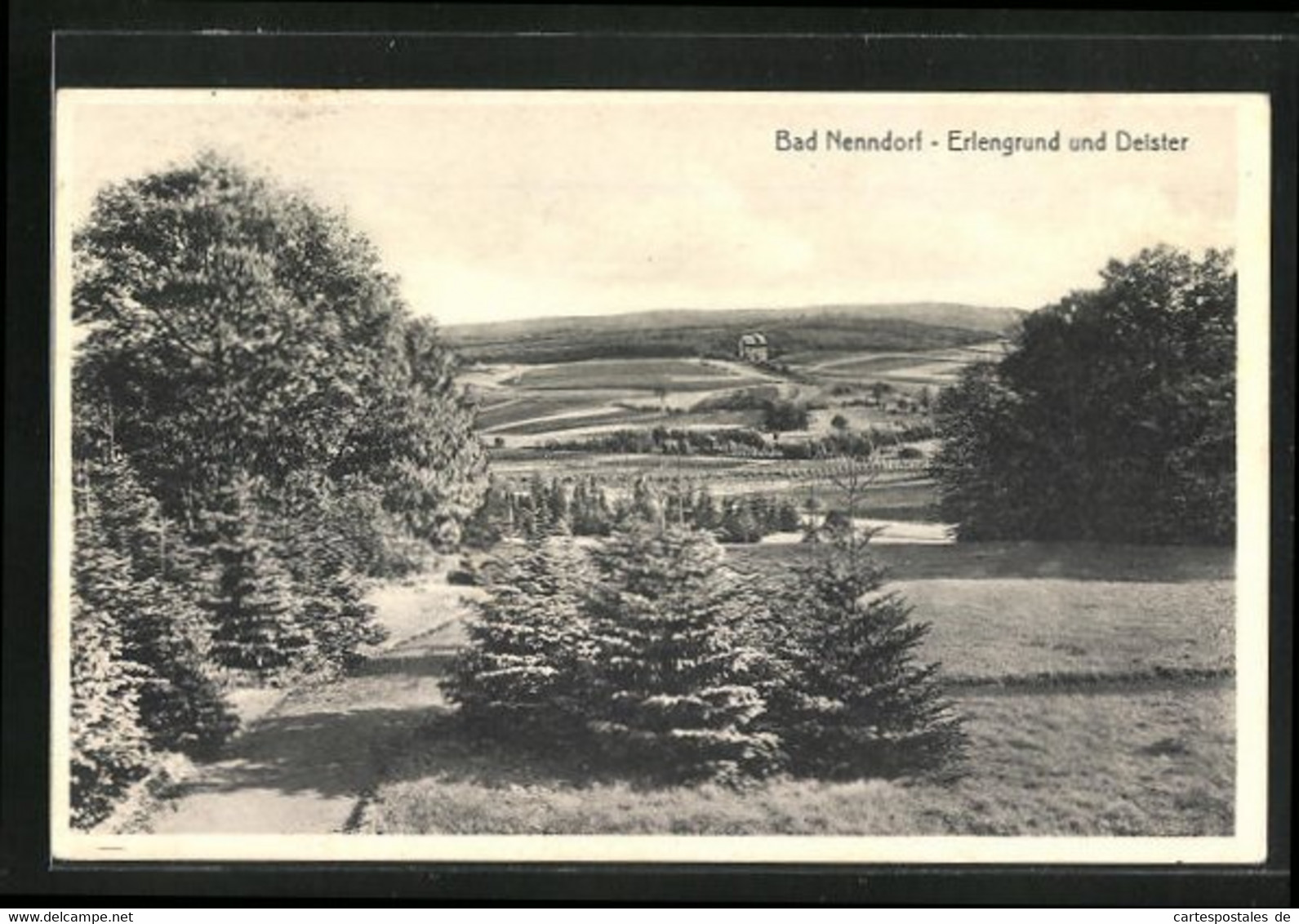 AK Bad Nenndorf, Erlengrund Und Deister - Bad Nenndorf