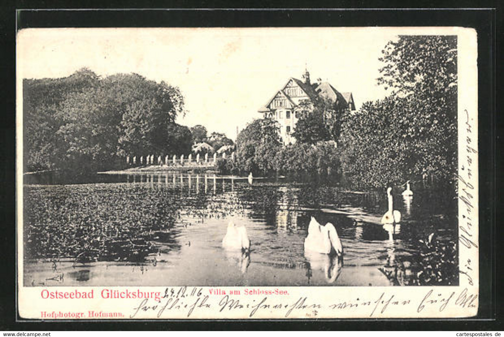 AK Glücksburg /Ostsee, Villa Am Schloss-See Mit Schwänen - Gluecksburg