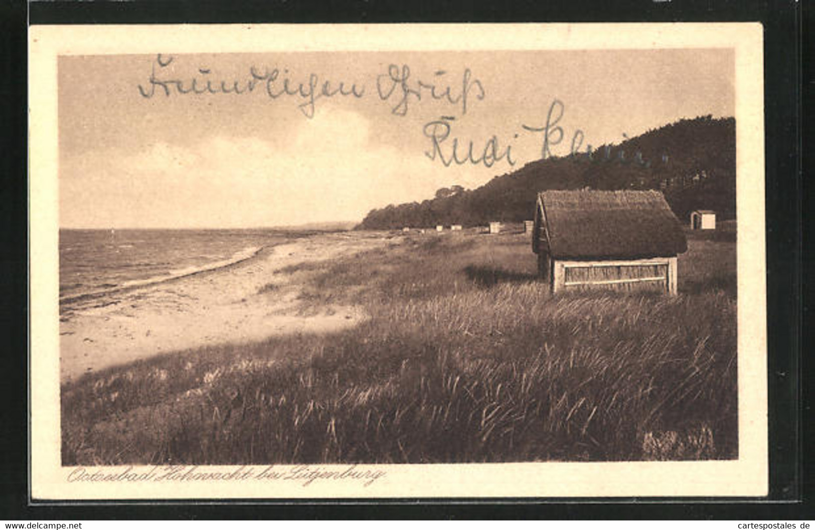 AK Hohwacht B. Lütjenburg, Ausblick Auf Den Strand - Luetjenburg