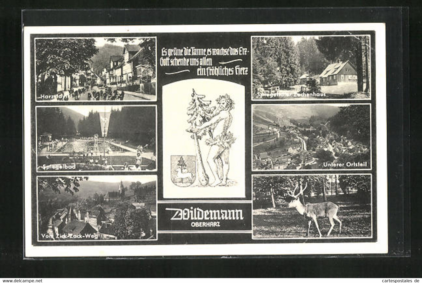 AK Wildemann /Harz, Gasthaus Spiegeltaler Zechenhaus, Spiegelbad, Zick-Zack-Weg - Wildemann