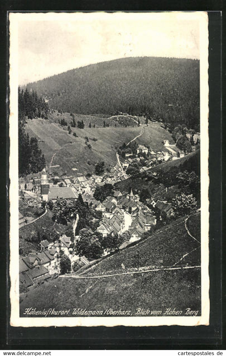 AK Wildemann /Harz, Blick Vom Hohen Berg Auf Den Ort - Wildemann