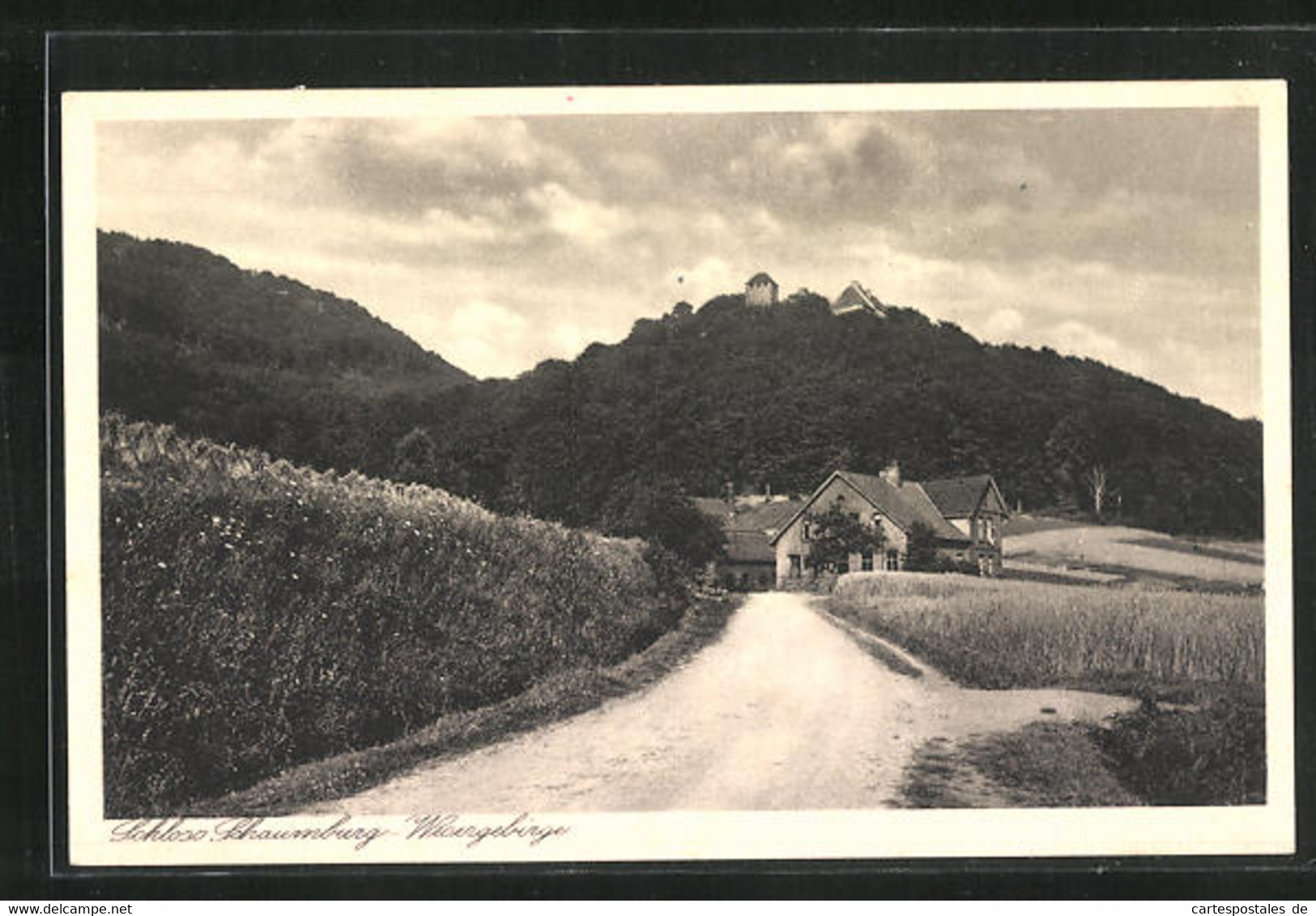 AK Rinteln, Landstrasse In Richtung Schloss Schaumburg - Schaumburg