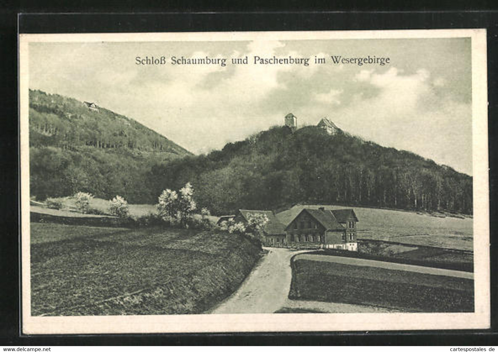 AK Rinteln, Schloss Schaumburg Und Paschenburg - Schaumburg