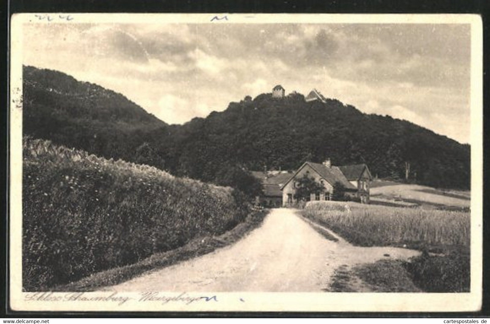 AK Rinteln, Landstrasse In Richtung Schloss Schaumburg - Schaumburg