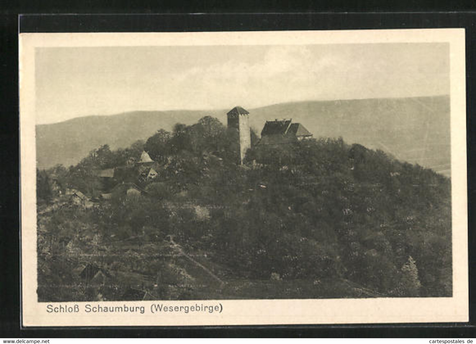 AK Rinteln, Schloss Schaumburg Aus Der Vogelschau - Schaumburg