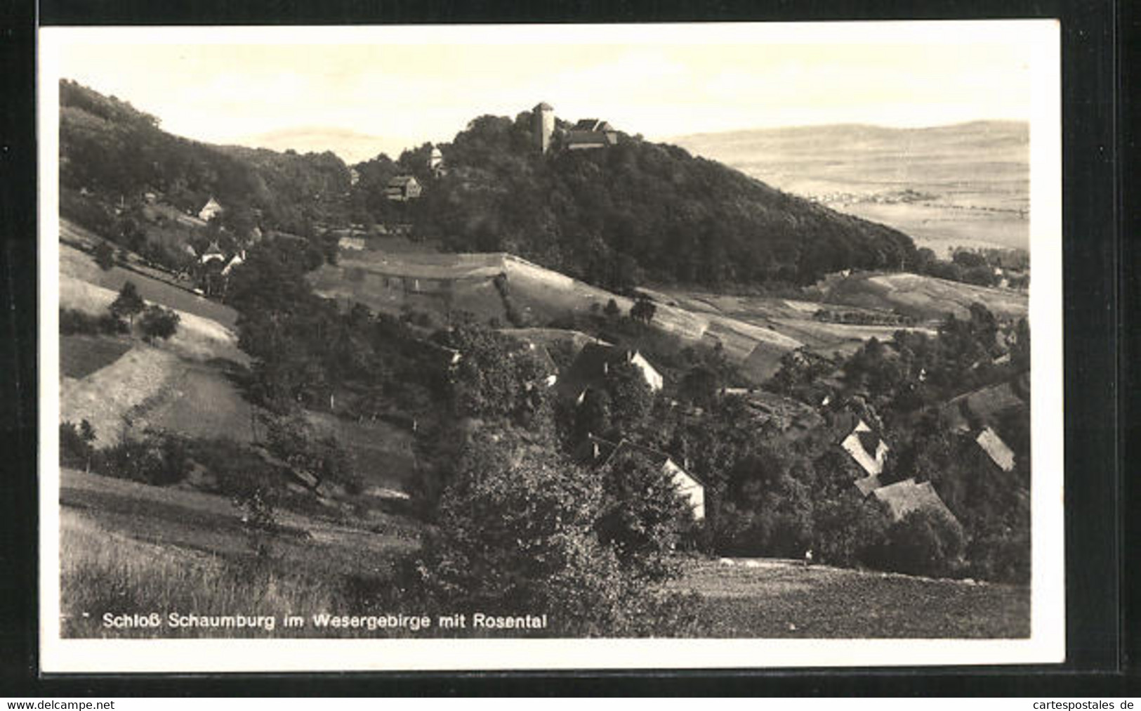 AK Rinteln, Schloss Schaumburg Mit Rosental - Schaumburg