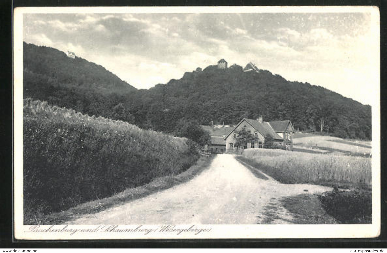 AK Rinteln, Landstrasse Nach Schloss Schaumburg Und Paschenburg - Schaumburg