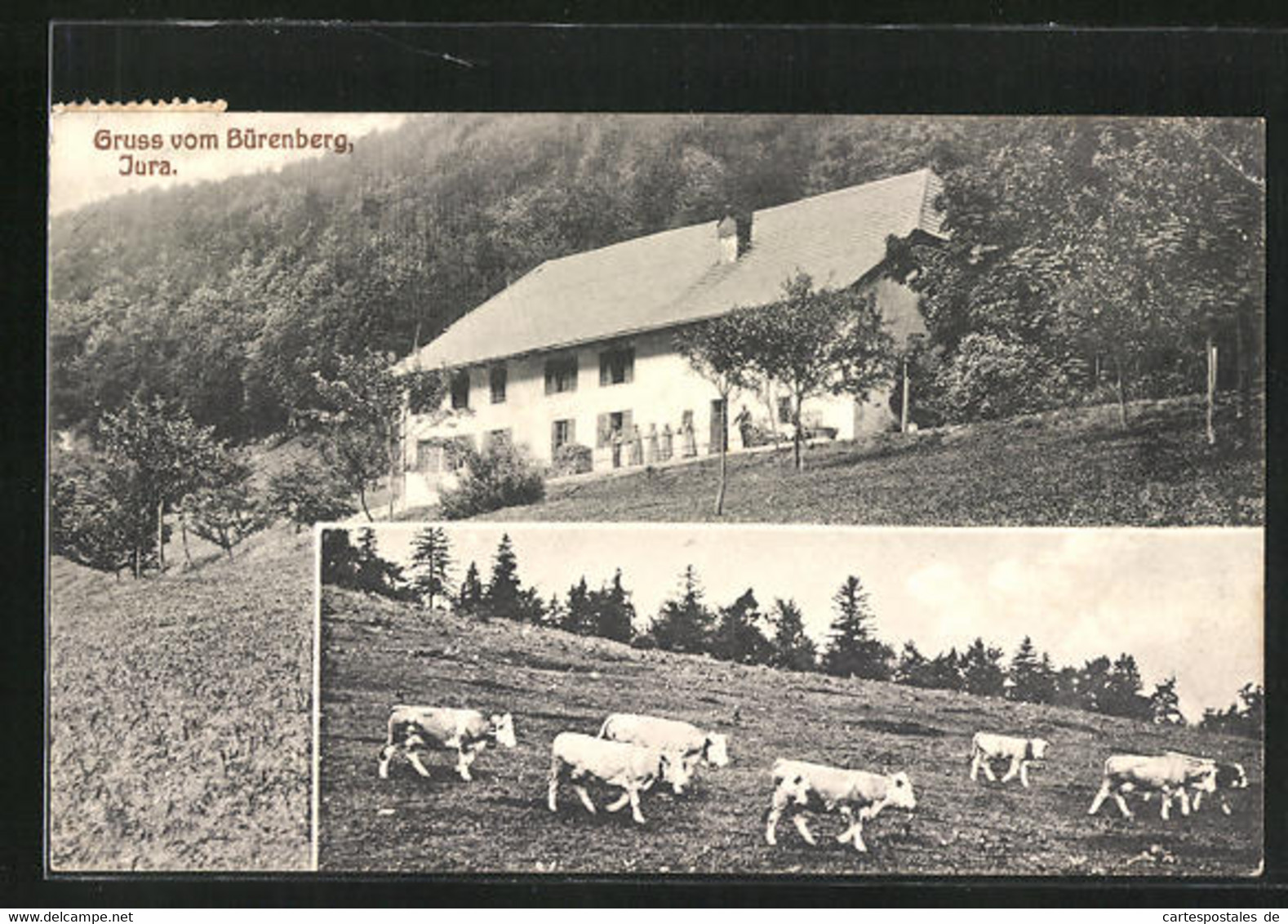 AK Romont, Haus Auf Dem Bürenberg Mit Tierhaltung - Büren An Der Aare