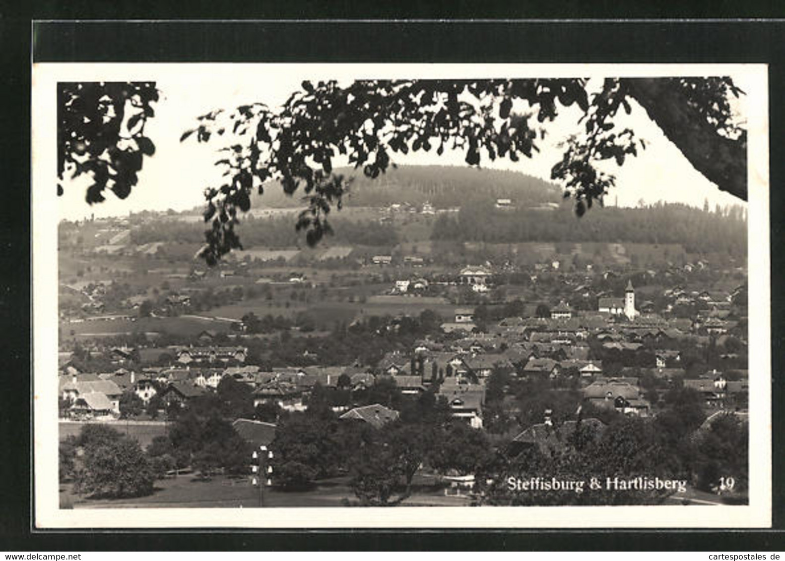 AK Steffisburg, Teilansicht & Hartlisberg Mit Baum - Steffisburg