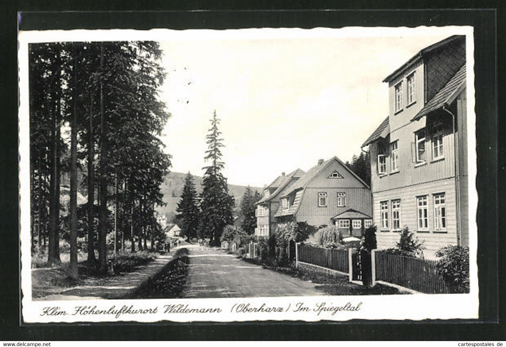 AK Wildemann I. Harz, Strassenpartie Im Spiegeltal - Wildemann