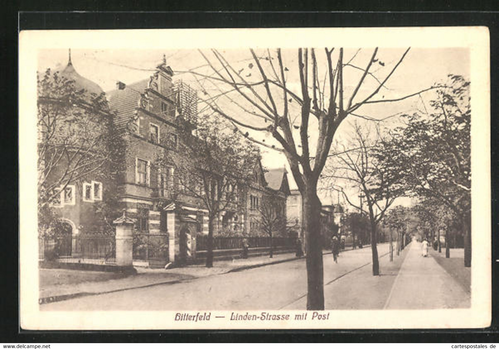 AK Bitterfeld, Lindenstrasse Mit Post - Bitterfeld