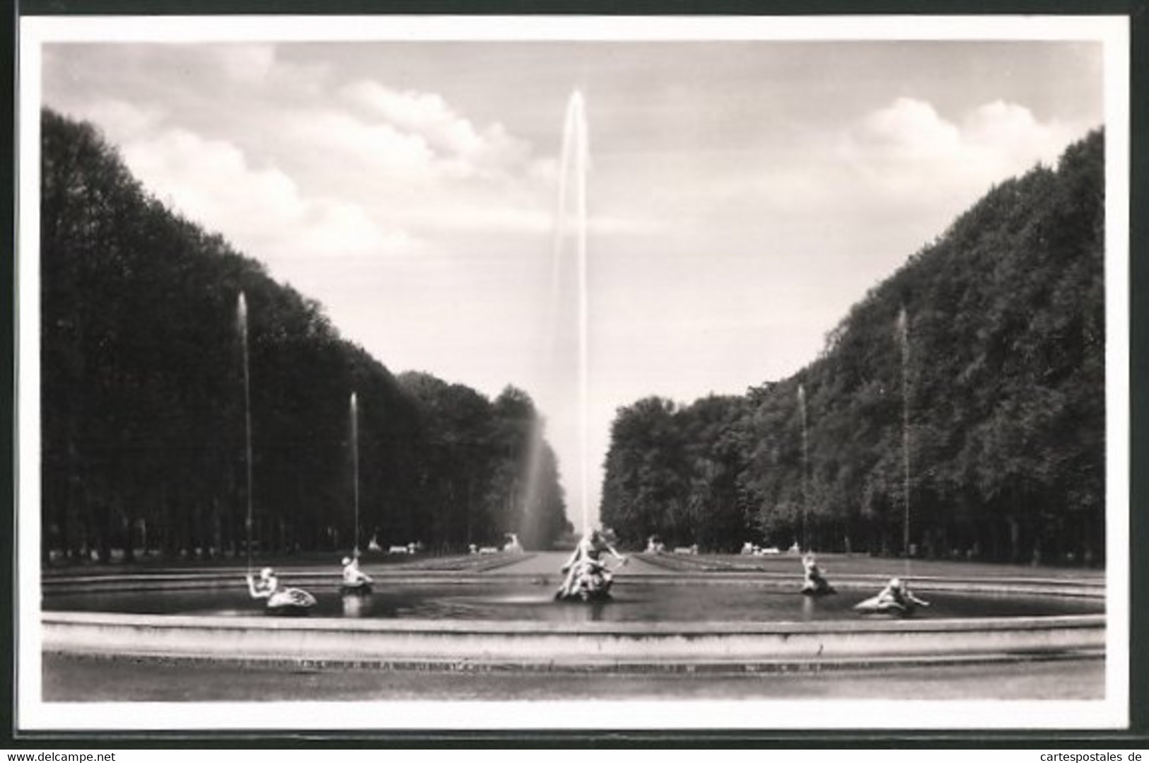 AK Schwetzingen, Schlossgarten Arion Mit Springbrunnen - Schwetzingen