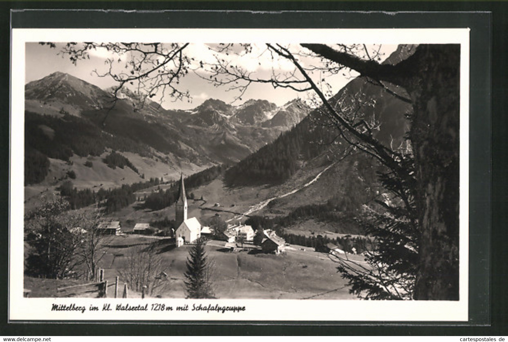 AK Mittelberg / Walsertal, Ortsansicht Mit Schafalpgruppe - Mittelberg