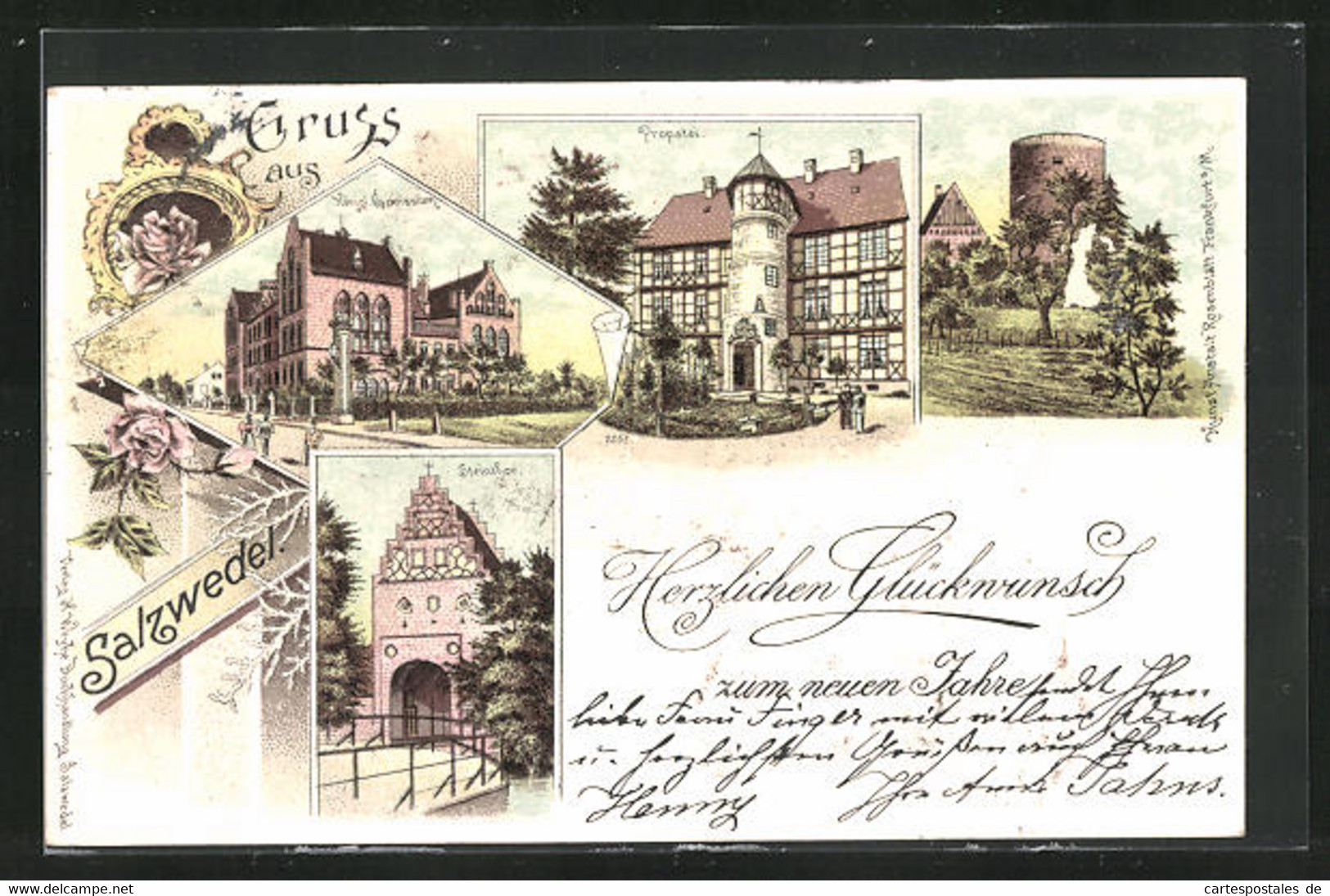 Lithographie Salzwedel, Propstei, Steintor, Königl. Gymnasium, Mönchskirche Und Burg - Salzwedel