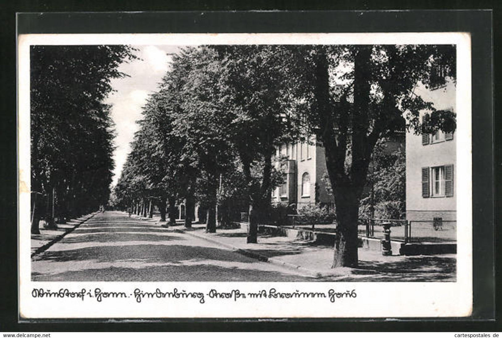 AK Wunstorf, Hindenburg-Strasse Mit Braunem Haus - Wunstorf