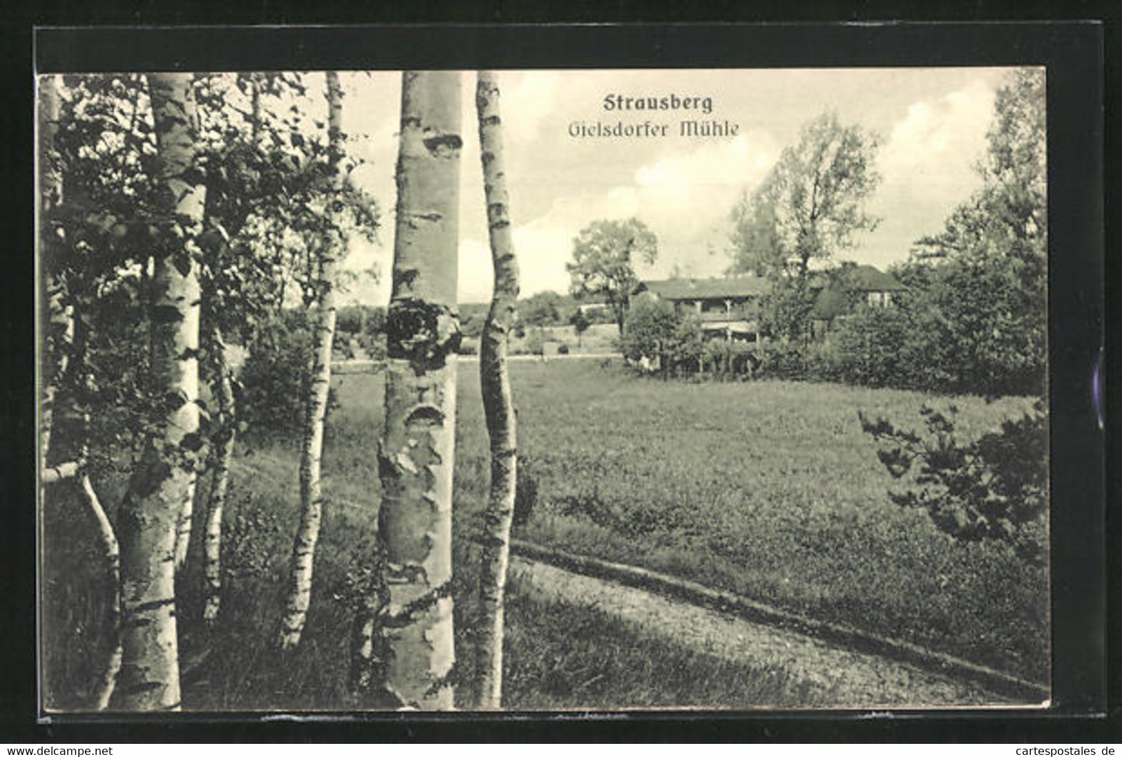 AK Strausberg, Blick Zur Gielsdorfer Mühle - Strausberg