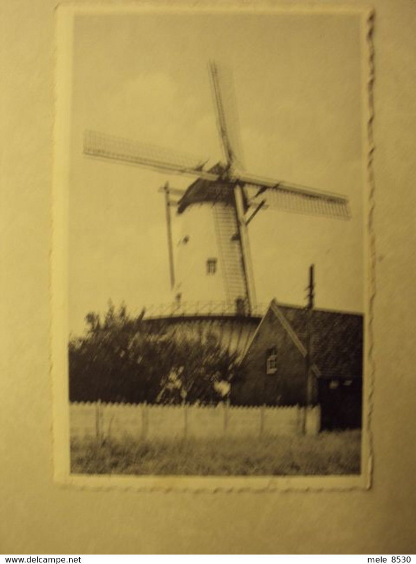 009 - DEERLIJK - DE OUDE MOLEN - KLESKENS - ZIE 2 FOTO'S - Deerlijk