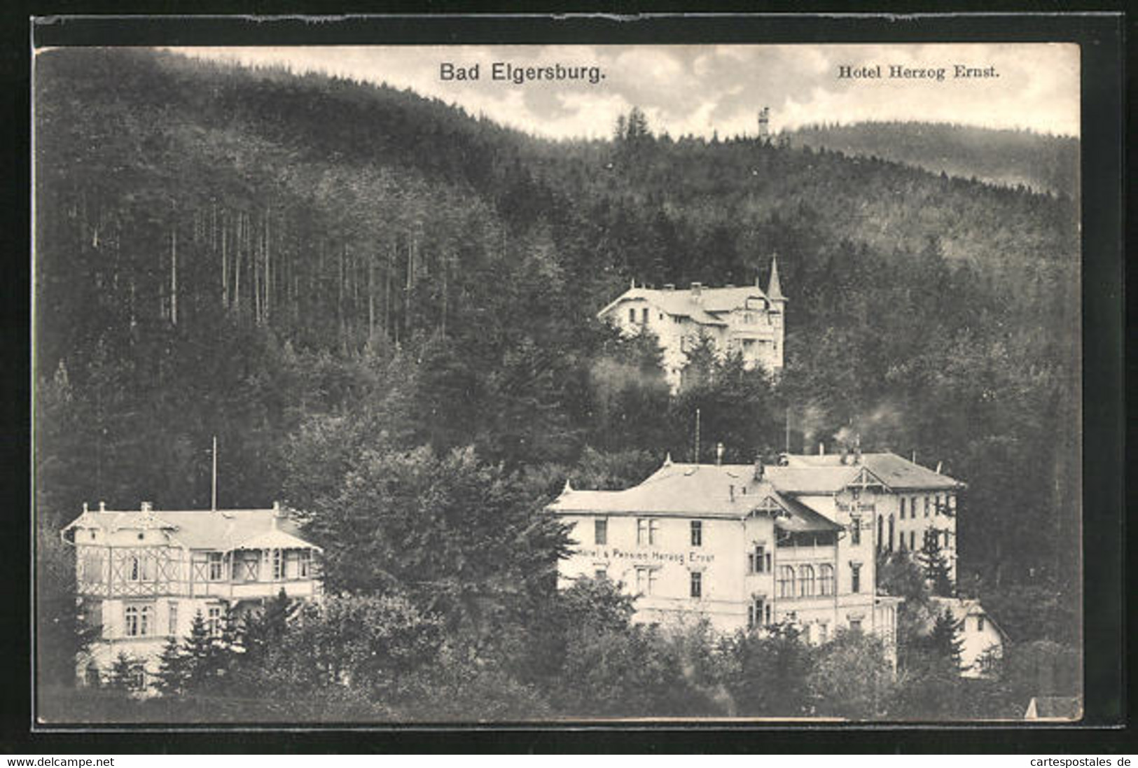 AK Bad Elgersburg, Hotel Herzog Ernst - Elgersburg