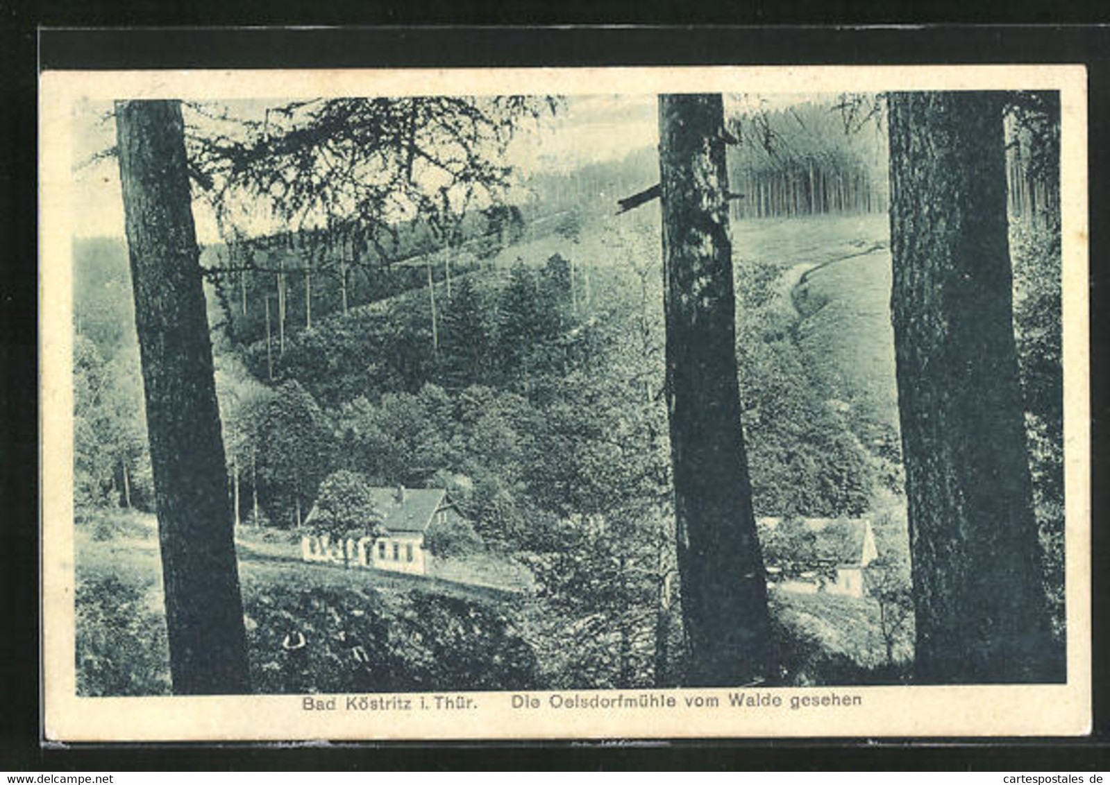 AK Bad Köstritz / Thüringen, Oelsdorfmühle Vom Walde Gesehen - Bad Koestritz