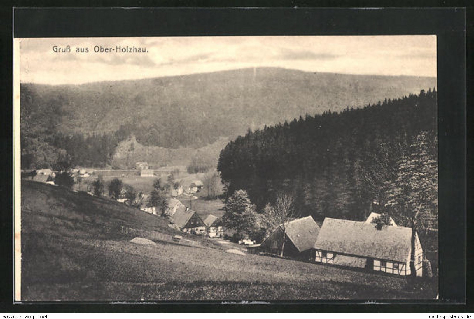 AK Ober-Holzhau, Blick Von Der Bergwiese - Holzhau