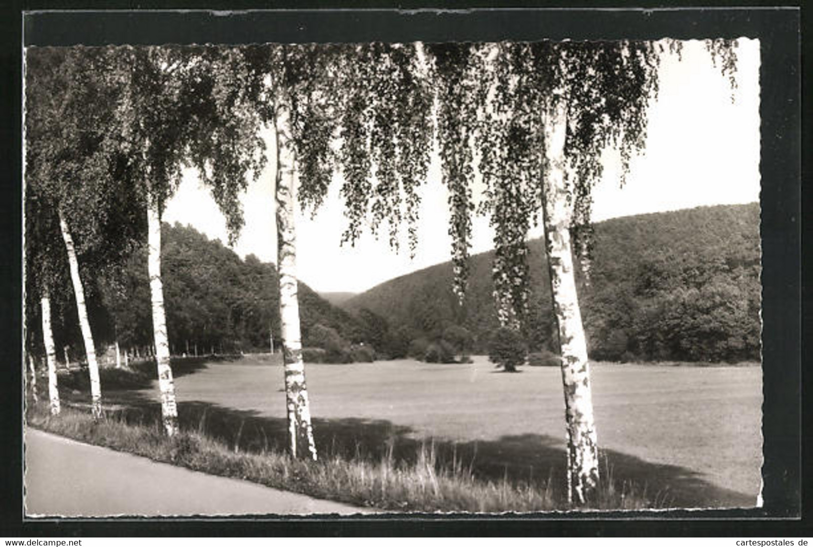 AK Usingen / Taunus, Landschaftsidylle Im Usatal - Usingen