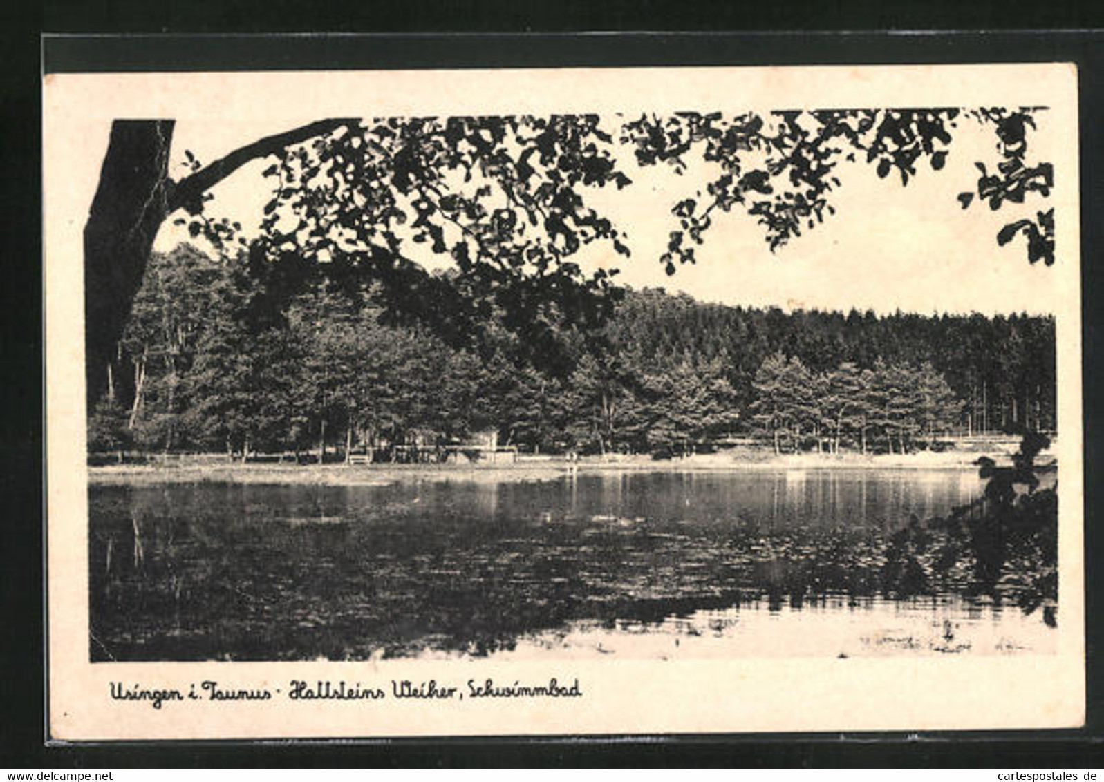 AK Usingen / Taunus, Hattsteins Weiher Mit Schwimmbad - Usingen