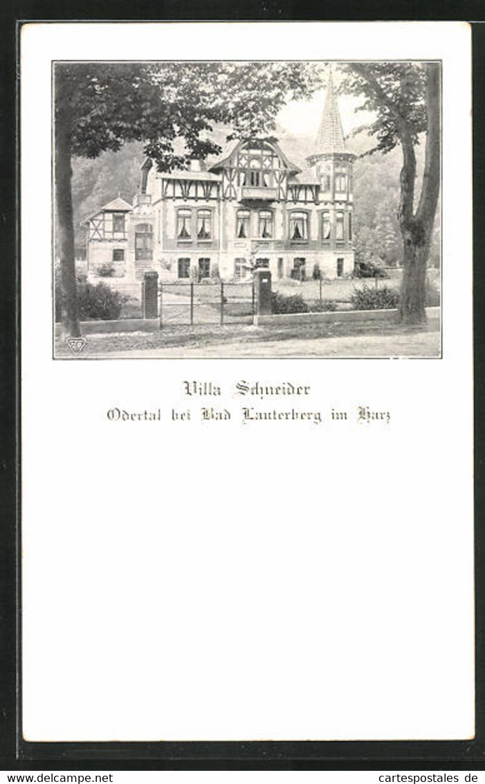 AK Bad Lauterberg /Harz, Hotel Villa Schneider - Bad Lauterberg