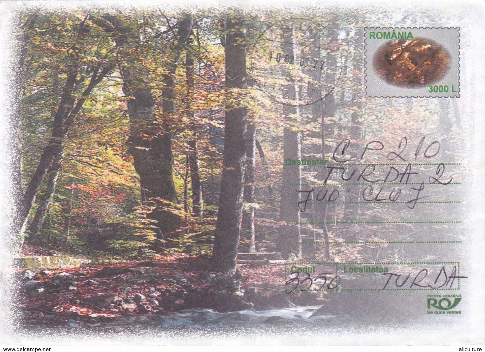 A9740- WOOD FOREST TREES ROCKS GRASS BUSHES, GALATI 2003 ROMANIA COVER STATIONERY - Autres & Non Classés