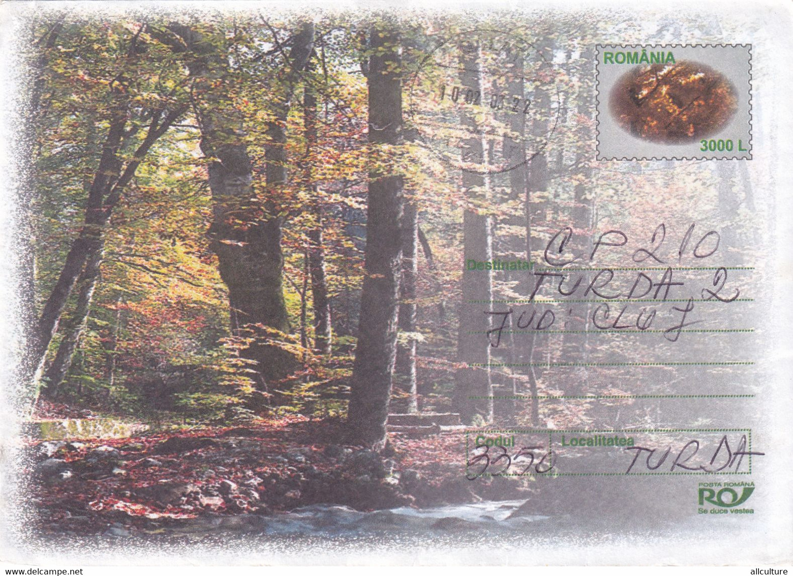 A9740- WOOD FOREST TREES ROCKS GRASS BUSHES, GALATI 2003 ROMANIA COVER STATIONERY - Otros & Sin Clasificación