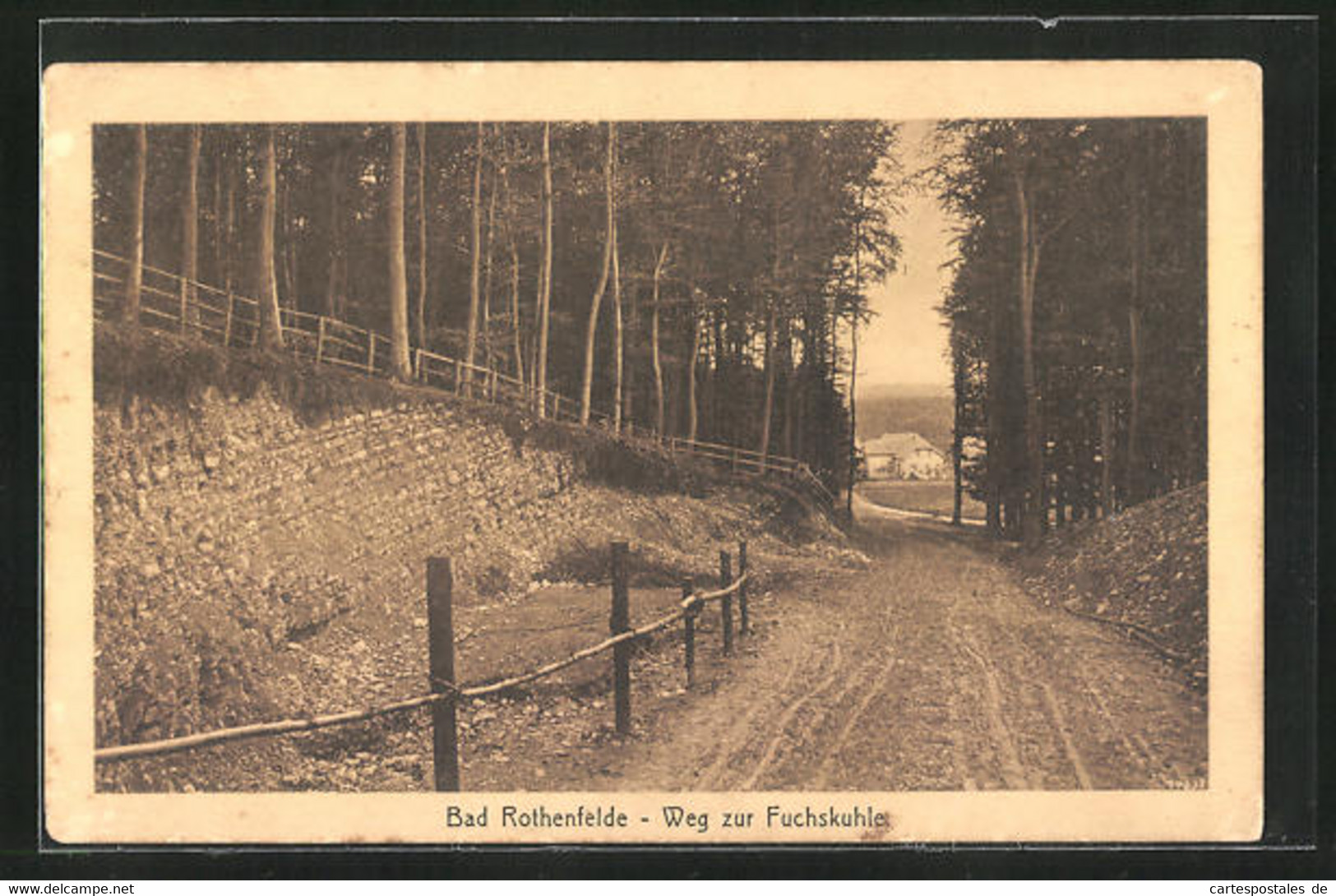 AK Bad Rothenfelde, Weg Zur Fuchskuhle - Bad Rothenfelde