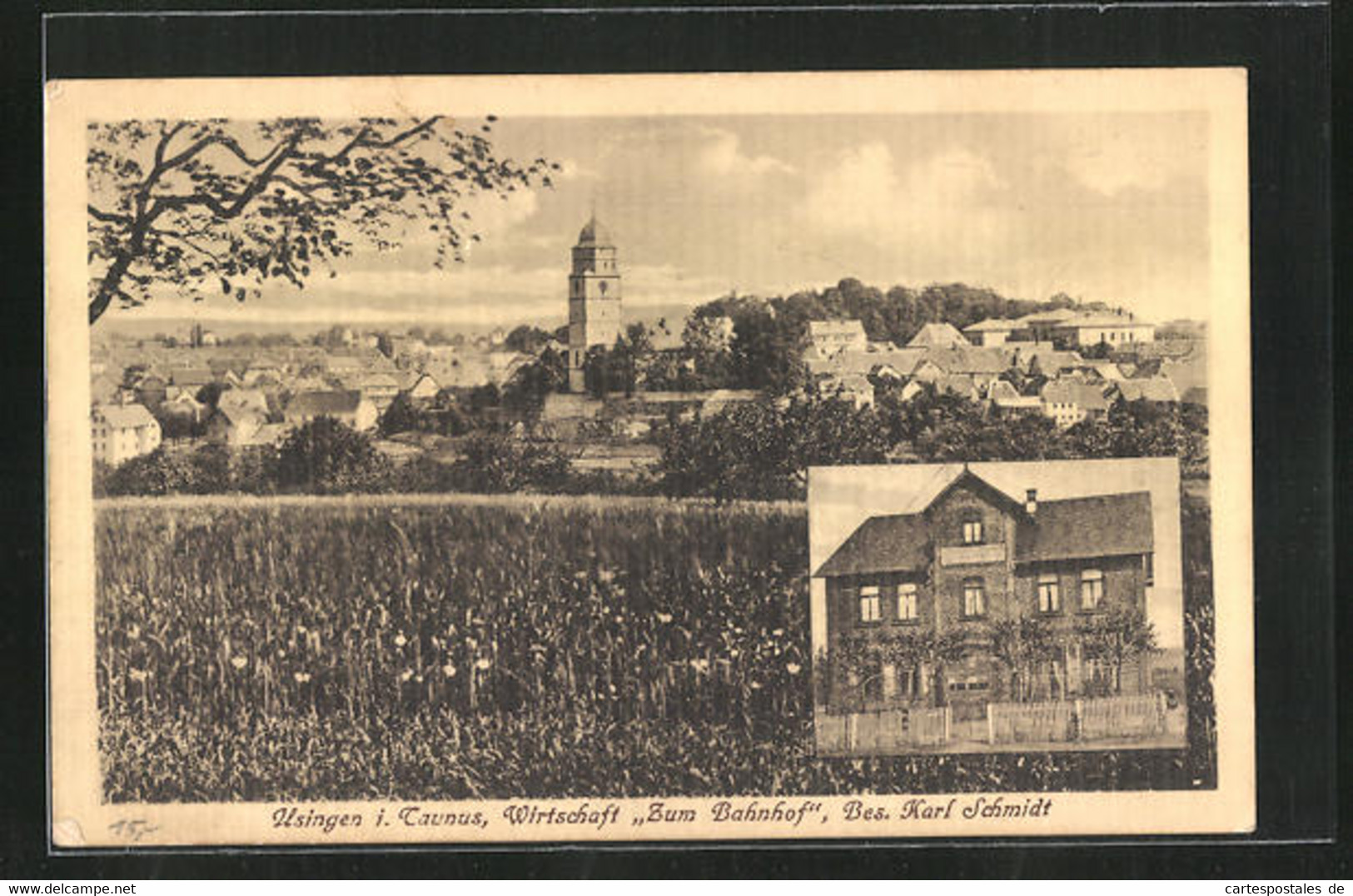 AK Usingen / Taunus, Gasthaus Zum Bahnhof, Totalansicht Vom Ort - Usingen