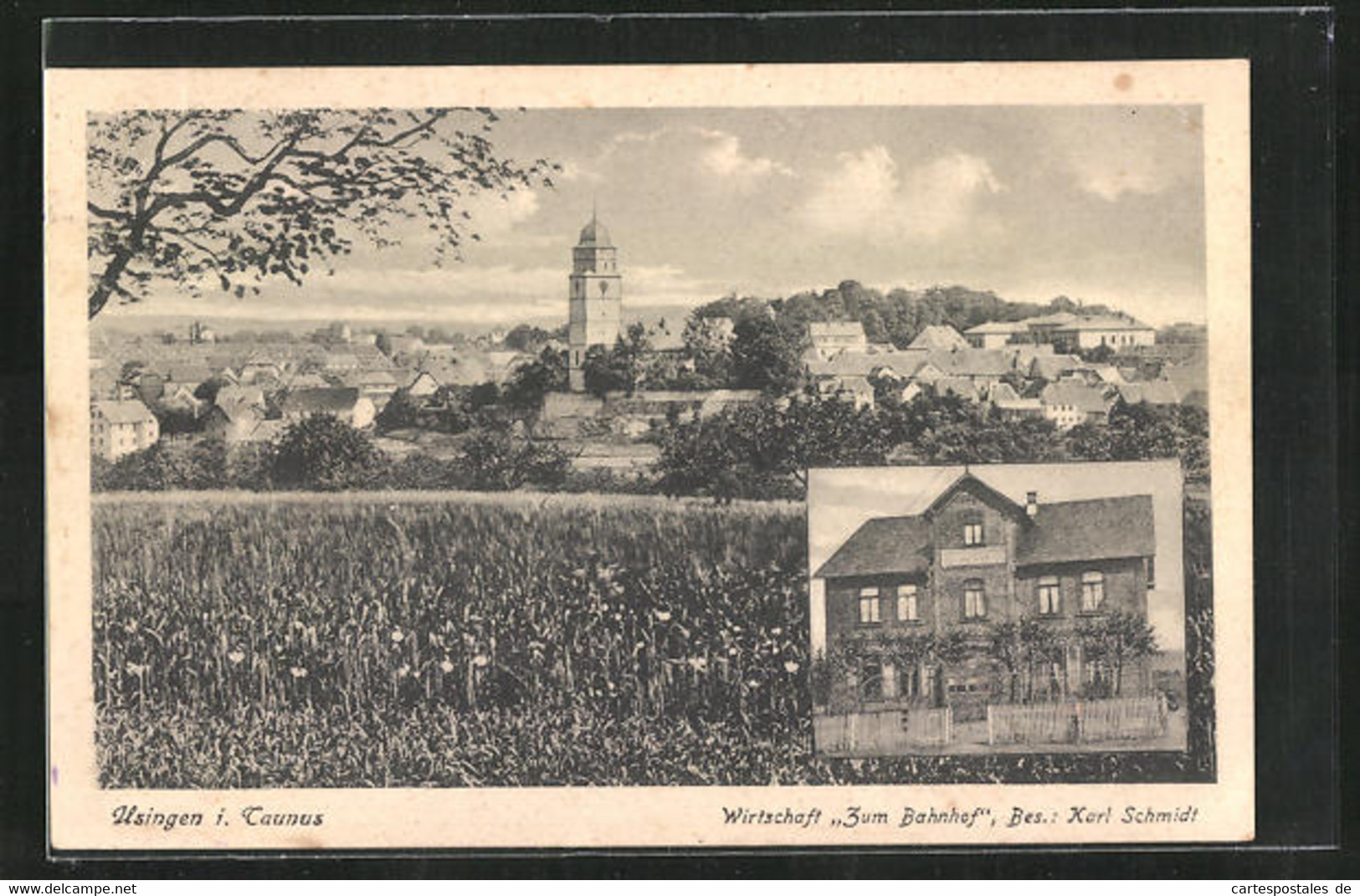 AK Usingen / Taunus, Gasthaus Zum Bahnhof, Totalansicht Vom Ort - Usingen