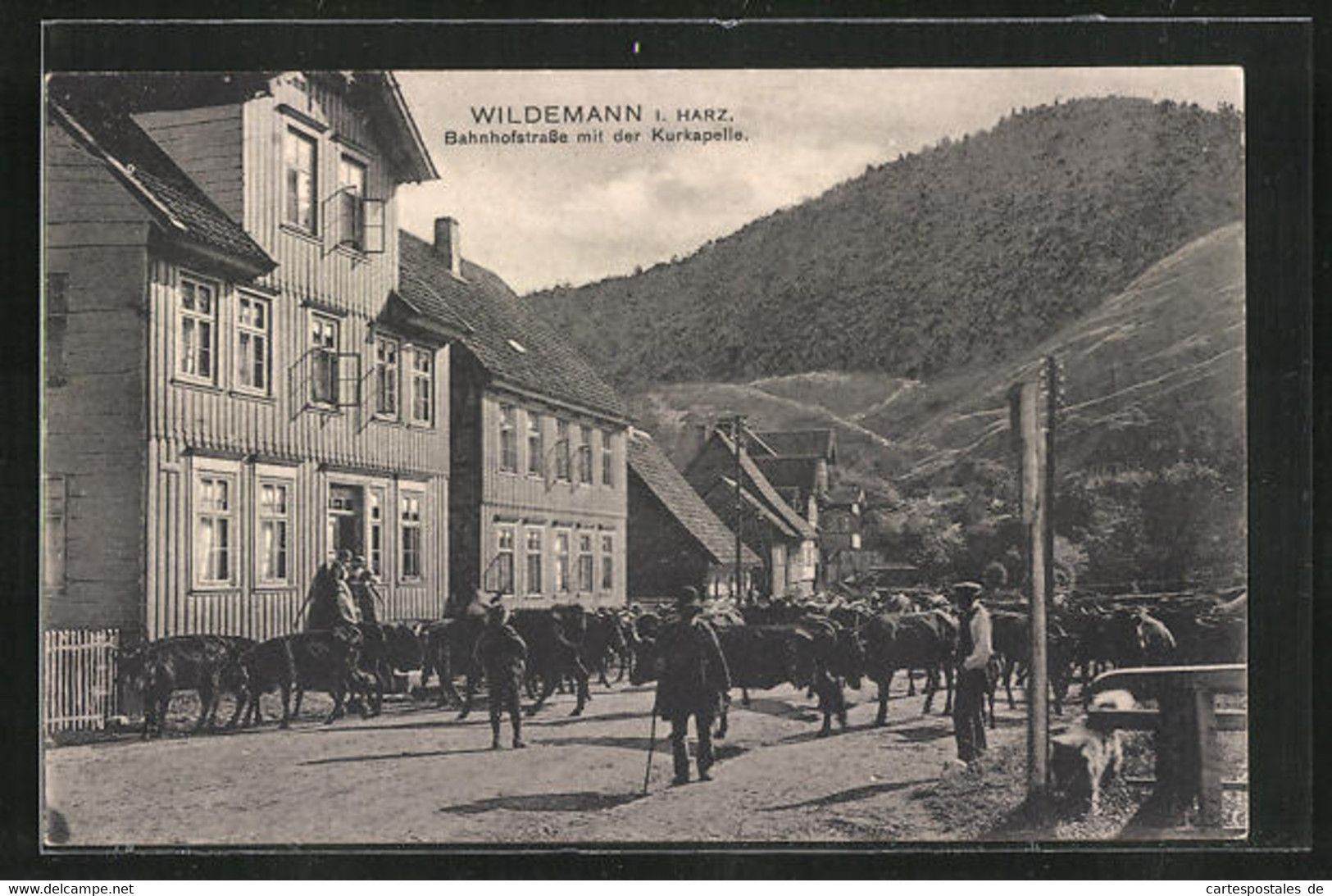 AK Wildemann I. Harz, Bahnhofstrasse Mit Der Kurkapelle - Wildemann