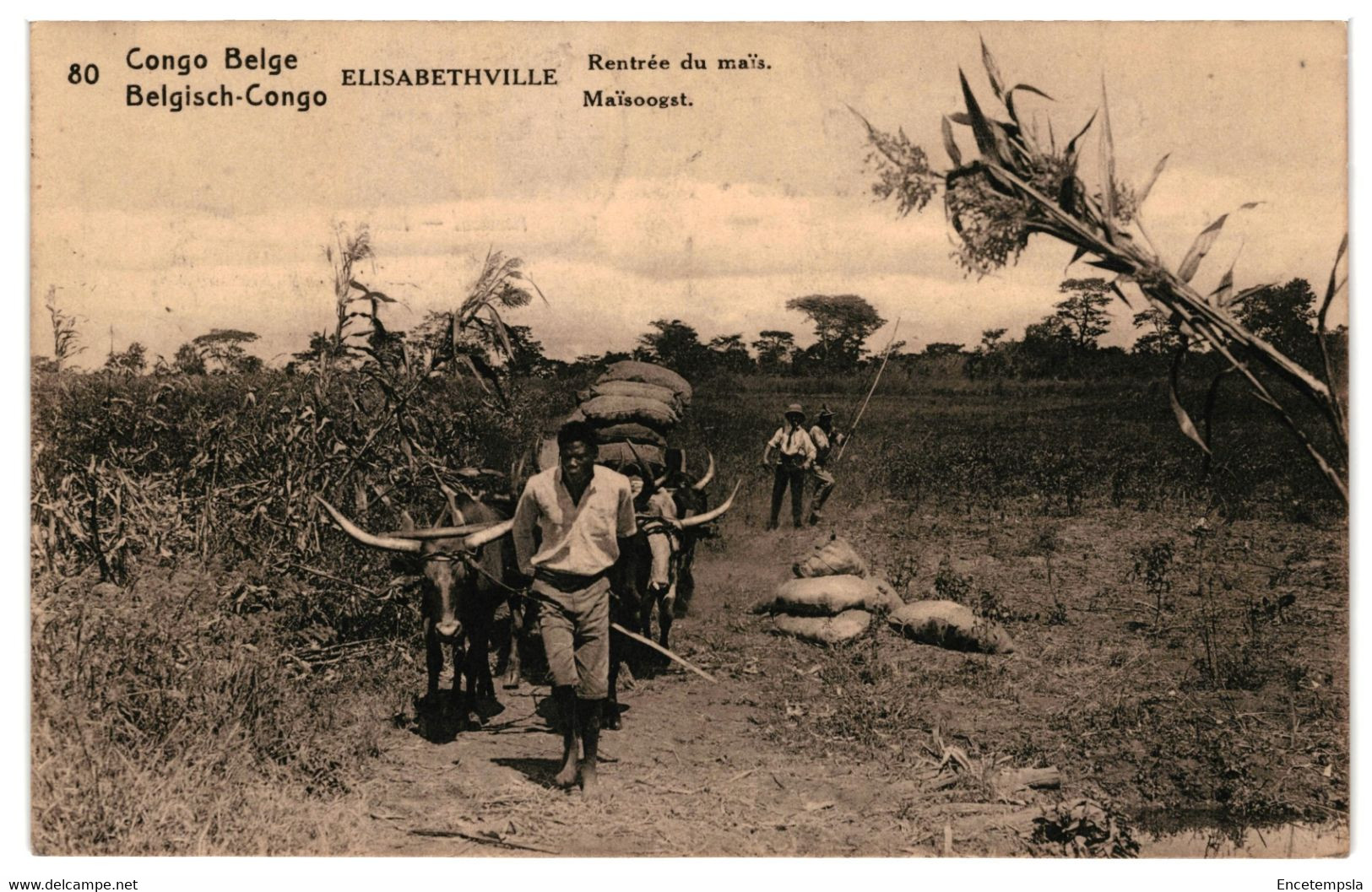 CPA Carte Postale  Congo Kinshasa- Elisabethville Rentrée Du Maïs -1924  VM33420at - Lubumbashi